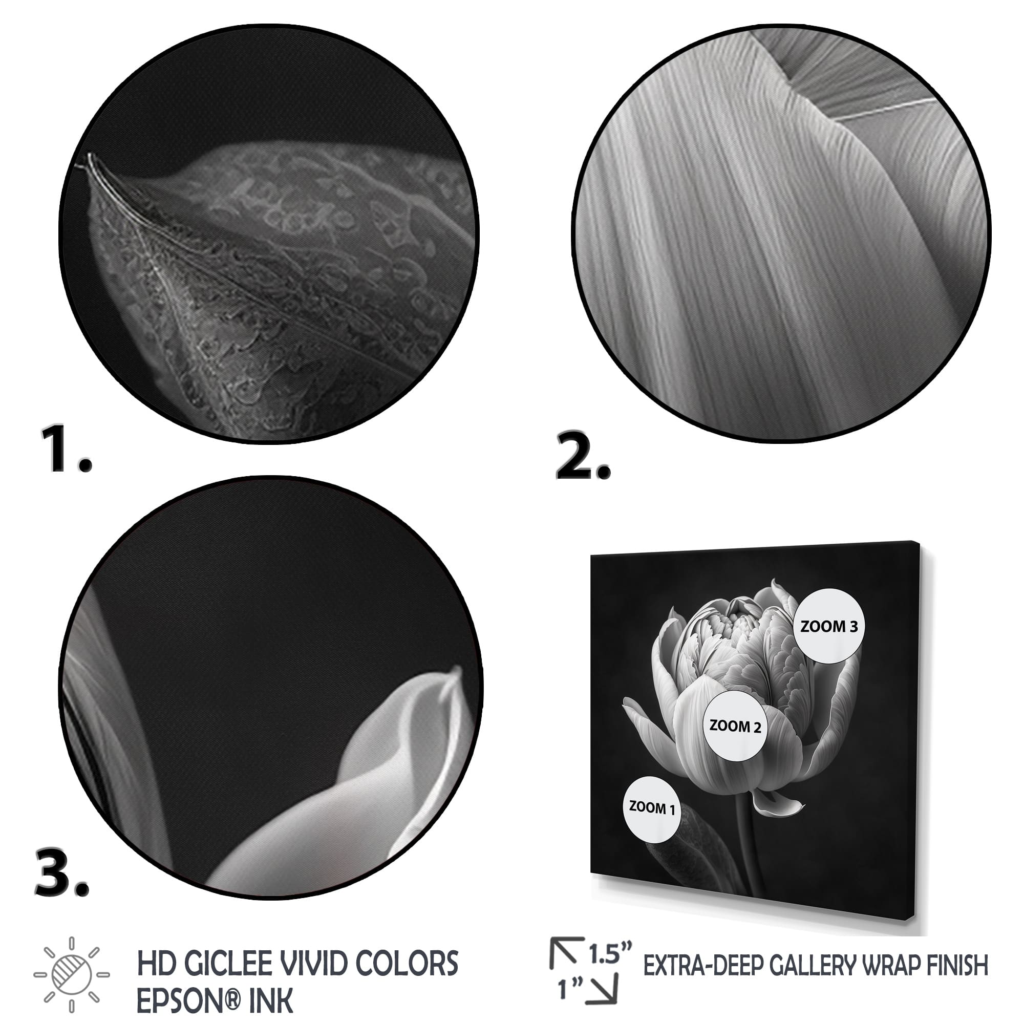 Designart "Closeup Of Black And White Tulip I" Floral Tulip Framed